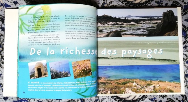 Au+bord+de+la+mer+Grandes+joies+et+petits+bonheurs+9782844786906+livre_3 Livre Au bord de la mer Grandes joies et petits bonheurs de Marine Guillier