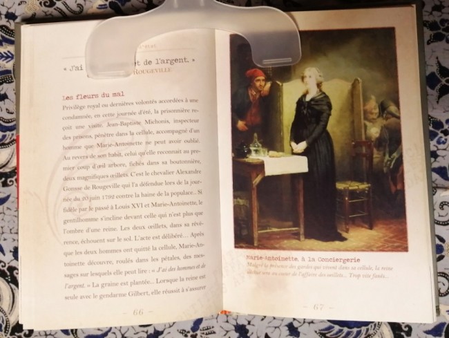 Petites+affaires+et+grands+scandales+de+l+Histoire+de+France+9791090710436+livre_5 Livre Petites affaires et grands scandales de l'Histoire de France de Delphine Dupuis