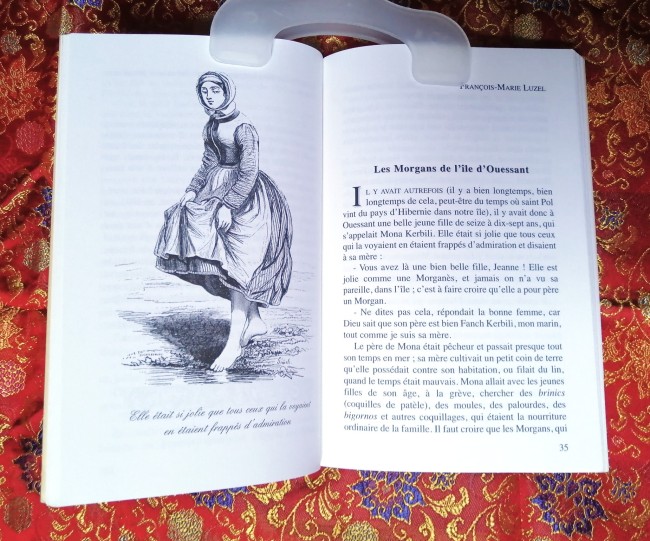 Livres L'ABCdaire des Celtes et Contes celtiques