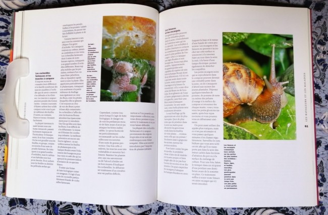 livre Orchidées plantation entretien de Brian et Sara Rittershausen