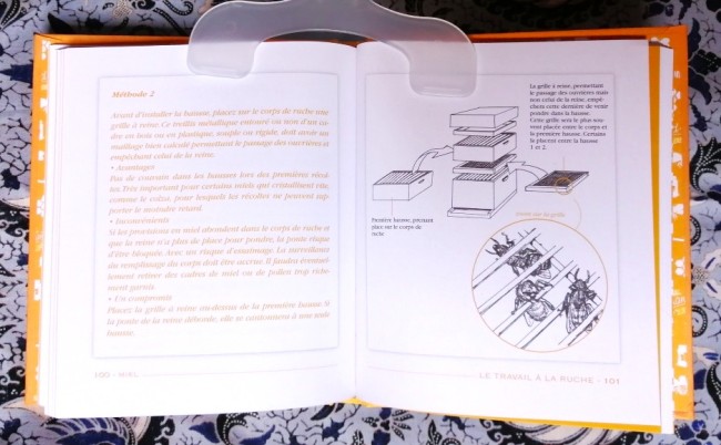 Miel+abeille+ma+grand-mère+faisait+pareil+9782012381704+livre_5 Livre Miel Ma grand-mère faisait pareil de Michel Ricard