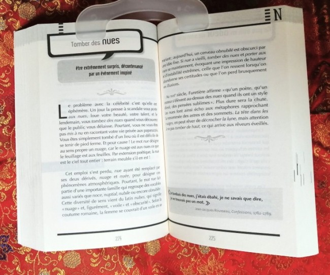 Livre 200 Drôles d'expressions d'Alain Rey et Stéphane De Groodt