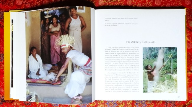 Livre Tovil Exorcismes thérapeutiques bouddhistes de Bruce Kapferer et Georges Papigny