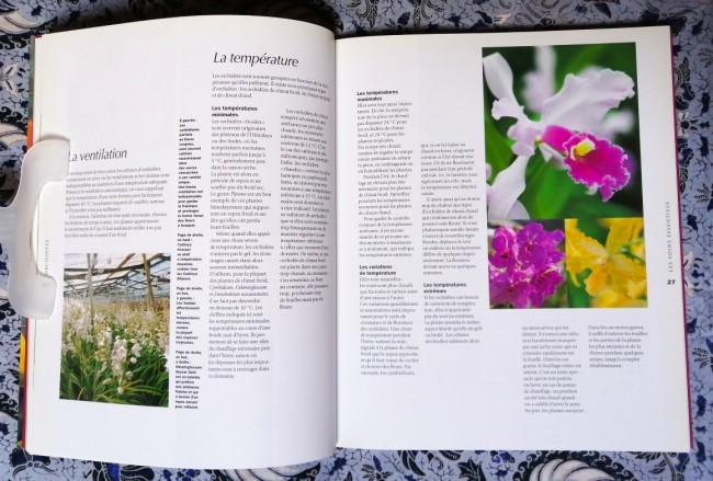livre Orchidées plantation entretien de Brian et Sara Rittershausen