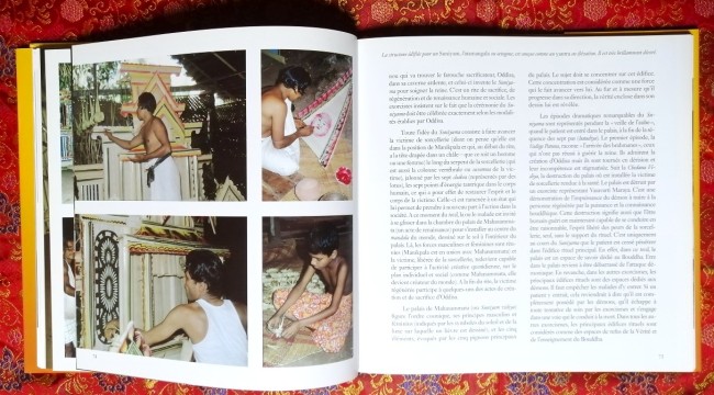 Livre Tovil Exorcismes thérapeutiques bouddhistes de Bruce Kapferer et Georges Papigny