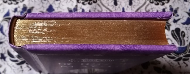 science+et+magie+esprit+XVIII+ième+siècle+9782812306693+livre_2 Livre Esprit du XVIII ième - Science et magie de Maguy Ly et Nicole Masson