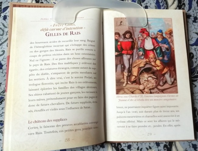 Livre Petits complots et grands crimes de l'Histoire de France de Delphine Dupuis