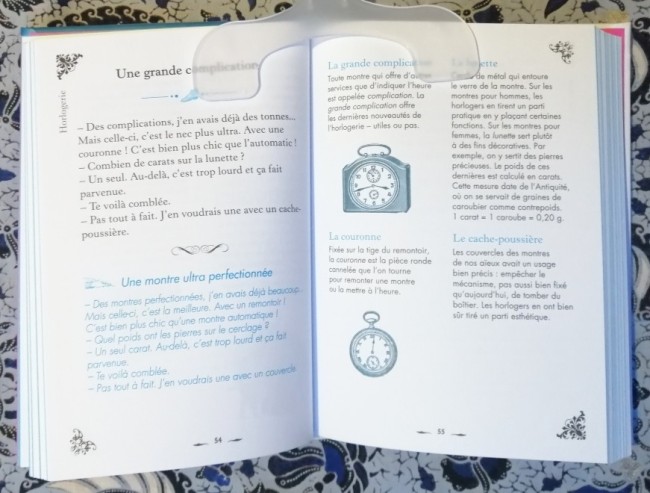 Livre 365 expressions des métiers expliquées de Dominique Foufelle