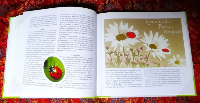 Le+livre+des+porte-bonheur+Le+livre+des+porte-malheur+supperstition+tradition+Images+d+autrefois+9782350771083_4 Le livre des porte-bonheur et des porte-malheur de Brigitte Jobbé-Duval