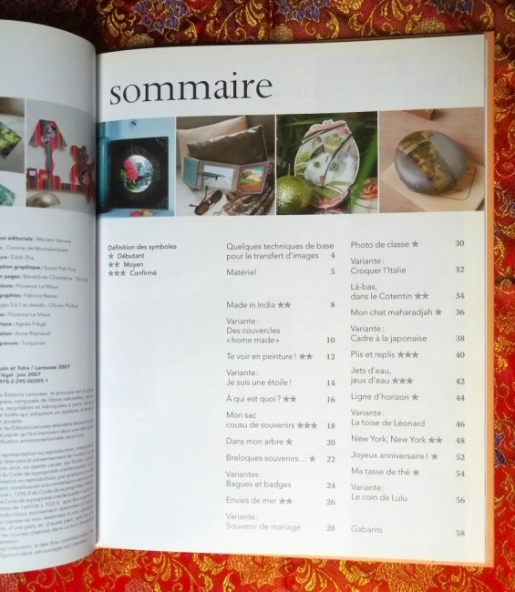 Livre Scrap mania Col. Quatre mains de Florence Le Maux