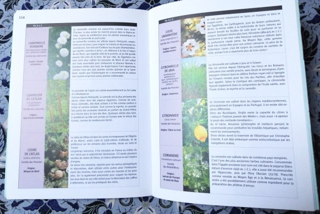 Livre Les huiles essentielles anti-stress de Sylvie Charier