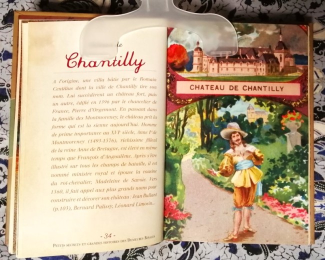 Livre Petits secrets & grandes histoires des demeures royales de Delphine Dupuis