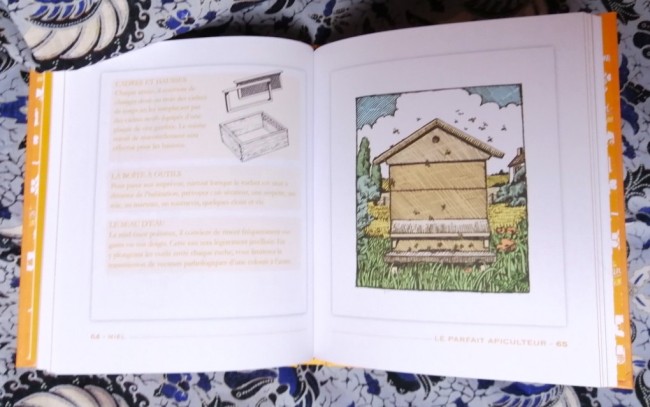 Miel+abeille+ma+grand-mère+faisait+pareil+9782012381704+livre_4 Livre Miel Ma grand-mère faisait pareil de Michel Ricard