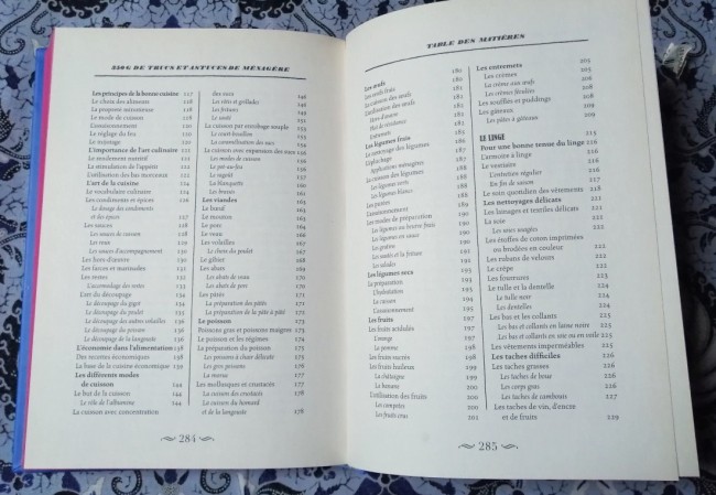 Livre 350 gr de trucs et astuces de ménagère de Sophie Boucher