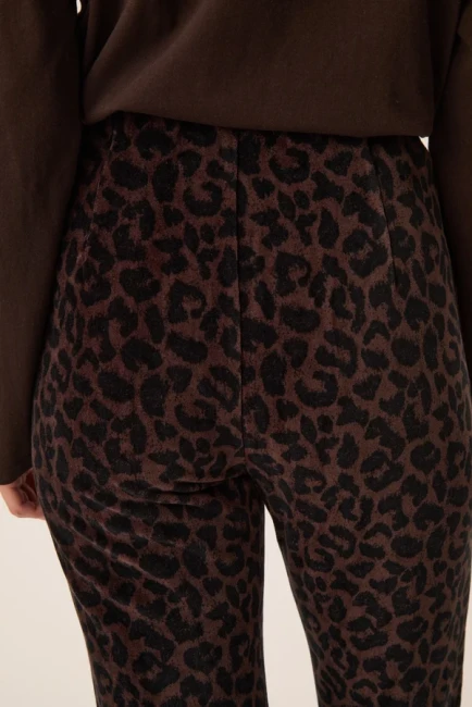 1H260210_01R-LEOPARD-e_b585c2be-5241-4a1d-bb6c-390f1ad18d03.jpg