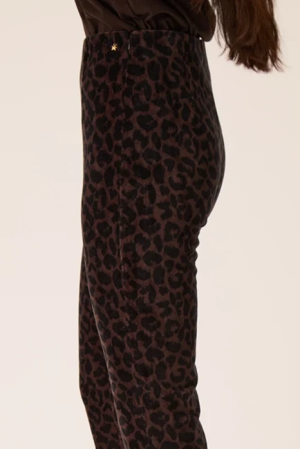 1H260210_01R-LEOPARD-c_4e5941bc-b5dc-42c3-8306-8a615b44dba8.jpg