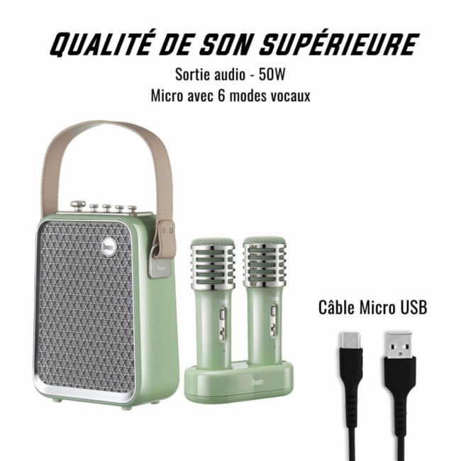 SONGBIRD_VERT_3-800x800