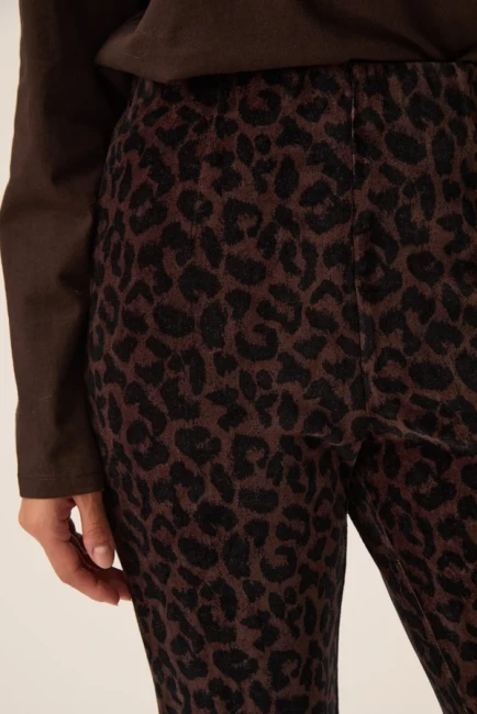1H260210_01R-LEOPARD-a_24a04cf6-20b8-4c4a-99ae-e3bdafbb74f0.jpg