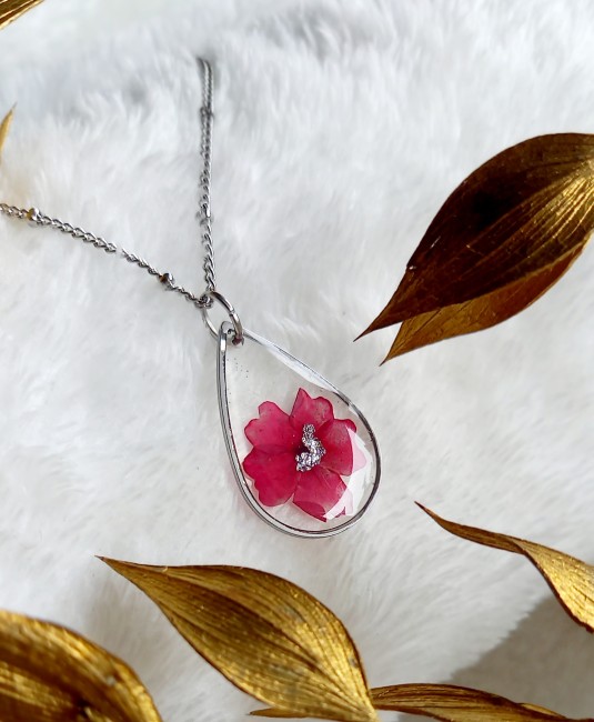 Verveine des jardins rose