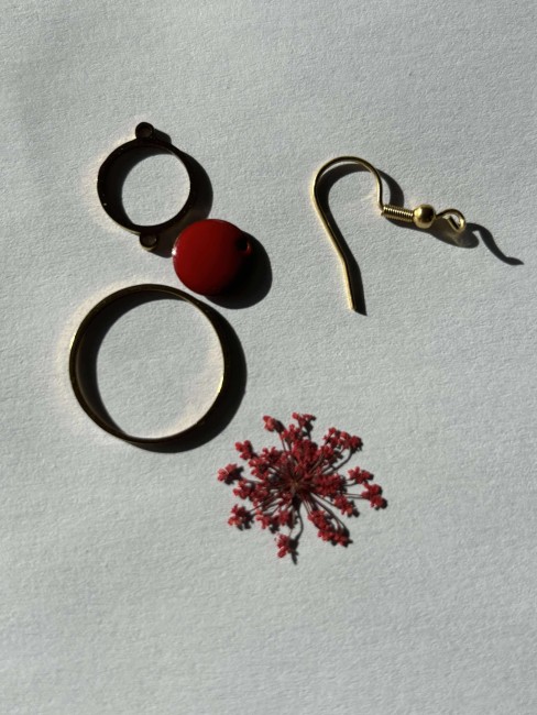 568295025_3037183516455070_1697886421377582686_n