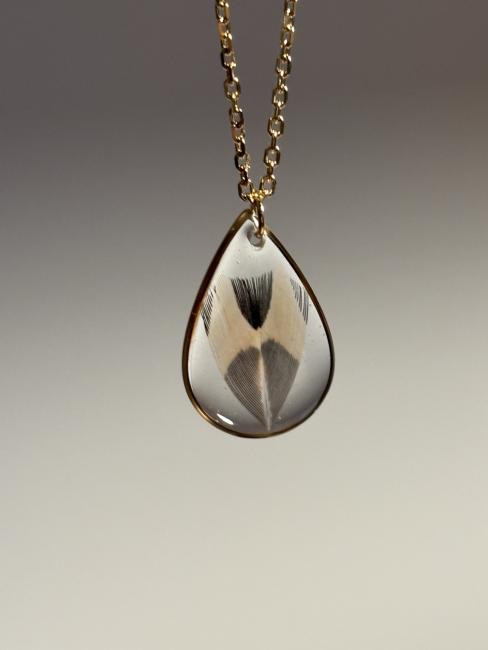 3D1A2DF9-2A56-4A36-AA80-5BF463BD4FCA