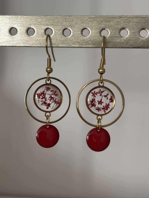 Fleurs séchées carotte sauvage rouge