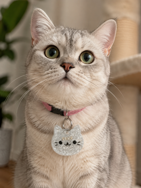 Pendentif personnalisé pour chat avec prénom Pendentif personnalisé pour collier de chat