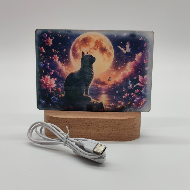 veilleuse chat lune 1