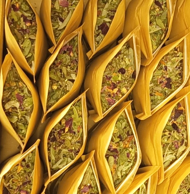 IMG_20251119_104143 (3)