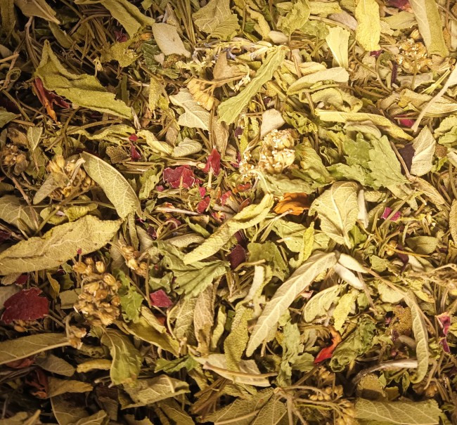 IMG_20251119_100324 (2)