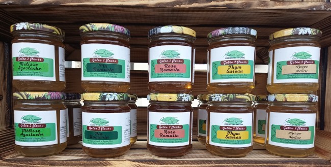 IMG_20251206_114341 (1)