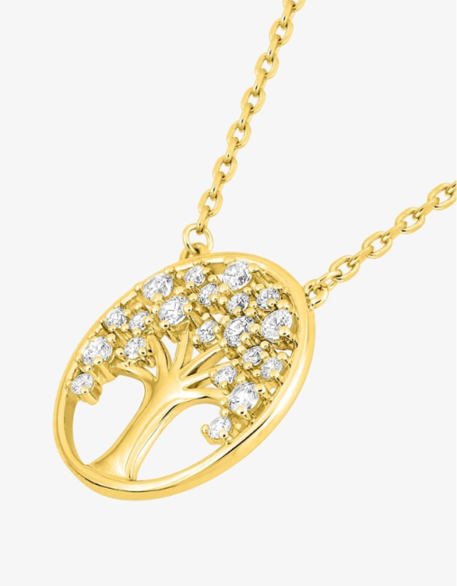 Capture d’écran 2026-02-24 170239