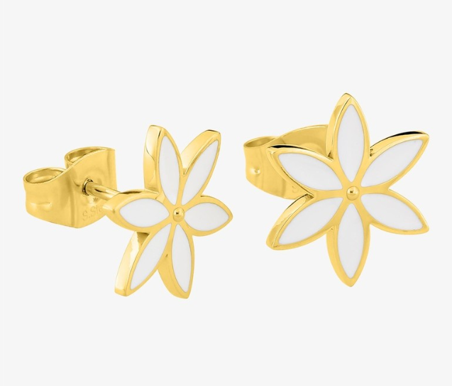 Capture d’écran 2026-02-21 101643