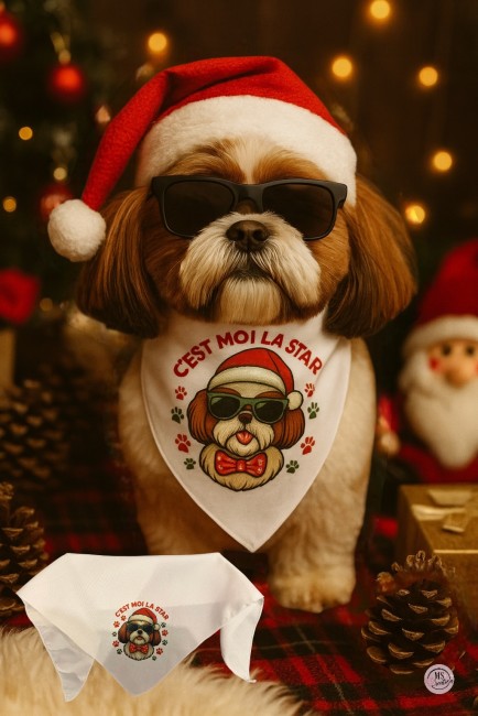 Photoroom_20251210_223614