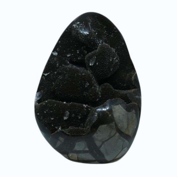 septariasauvage (3) Septaria sauvage de Madagascar