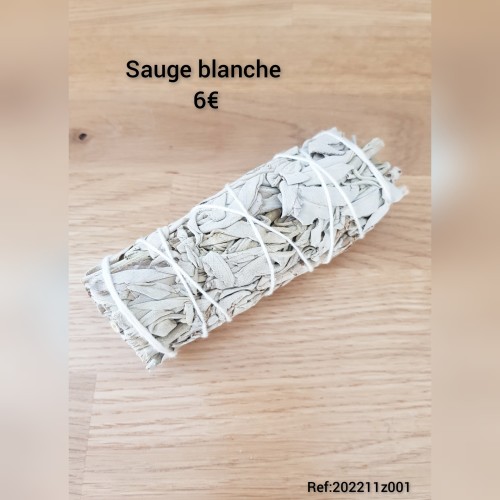Sauge blanche