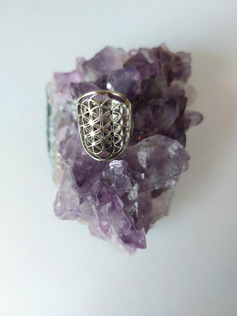 Bague fleur de vie argenté